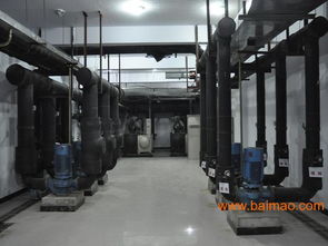 一流的集中式空調維護保養(yǎng) 要找可靠的中央空調系統(tǒng)維護保養(yǎng),競創(chuàng)機電設備公司,一流的集中式空調維護保養(yǎng) 要找可靠的中央空調系統(tǒng)維護保養(yǎng),競創(chuàng)機電設備公司生產(chǎn)廠家