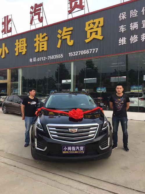 大悟小拇指汽貿(mào) 專業(yè)汽車信息咨詢服務指南